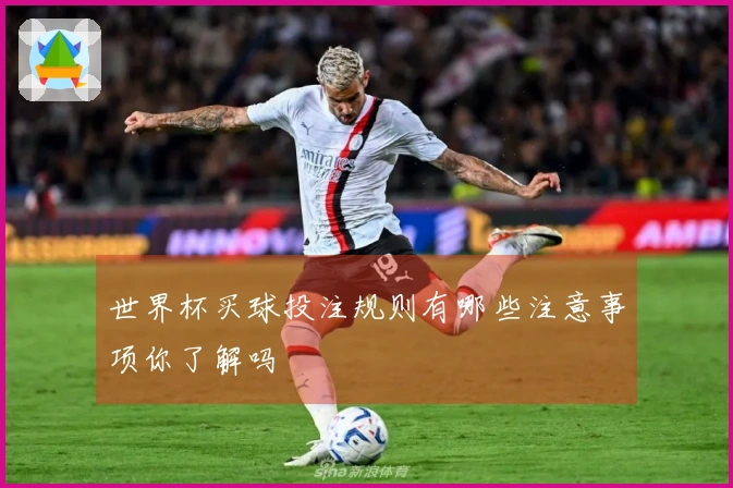 世界杯买球投注规则有哪些注意事项你了解吗