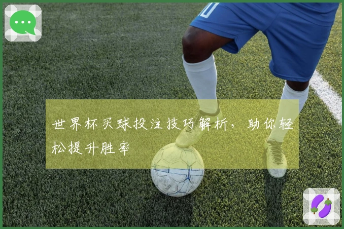 世界杯买球投注技巧解析，助你轻松提升胜率