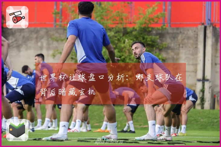 世界杯让球盘口分析：哪支球队在背后暗藏玄机