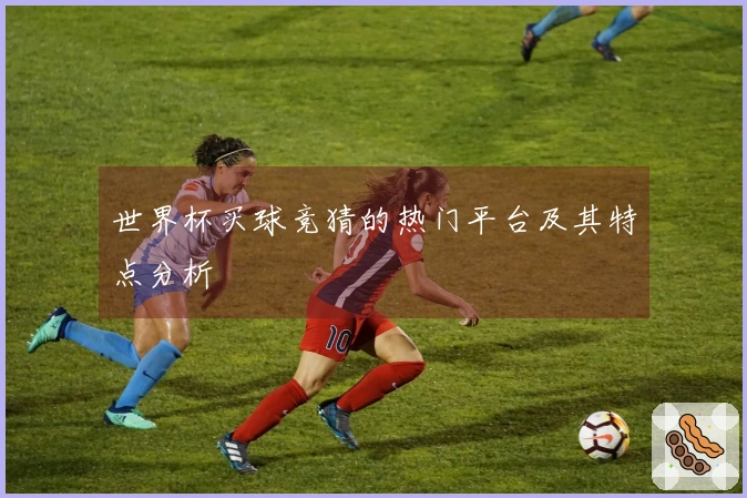 世界杯买球竞猜的热门平台及其特点分析