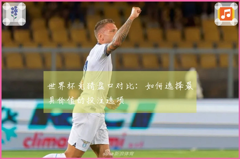 世界杯竞猜盘口对比：如何选择最具价值的投注选项