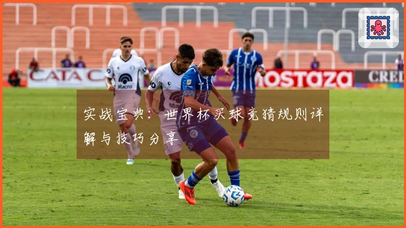 实战宝典：世界杯买球竞猜规则详解与技巧分享