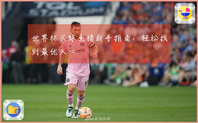 世界杯买球竞猜新手指南，轻松找到最优入口