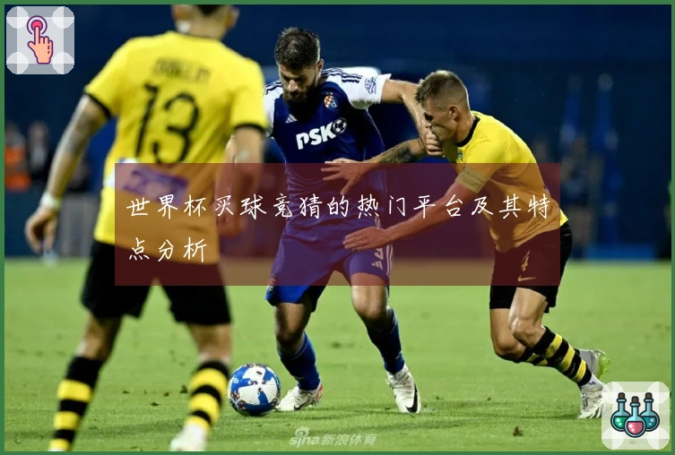 世界杯买球竞猜的热门平台及其特点分析