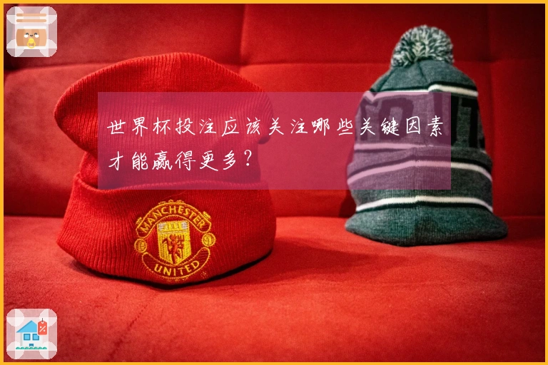 世界杯投注应该关注哪些关键因素才能赢得更多？