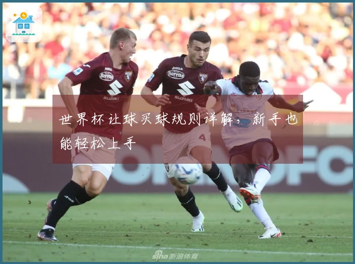 世界杯让球买球规则详解，新手也能轻松上手
