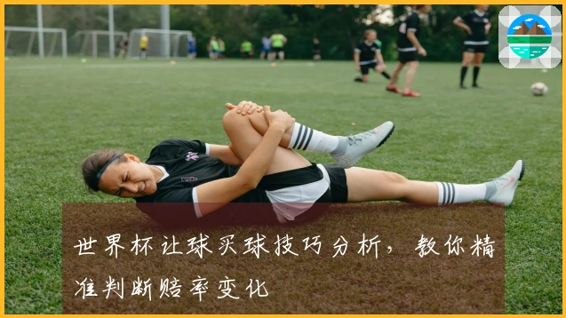 世界杯让球买球技巧分析，教你精准判断赔率变化