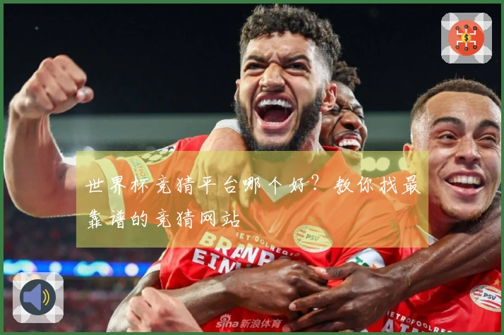 世界杯竞猜平台哪个好？教你找最靠谱的竞猜网站