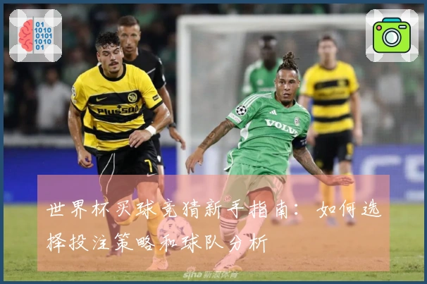 世界杯买球竞猜新手指南：如何选择投注策略和球队分析