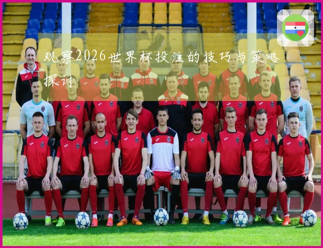 观察2026世界杯投注的技巧与策略探讨